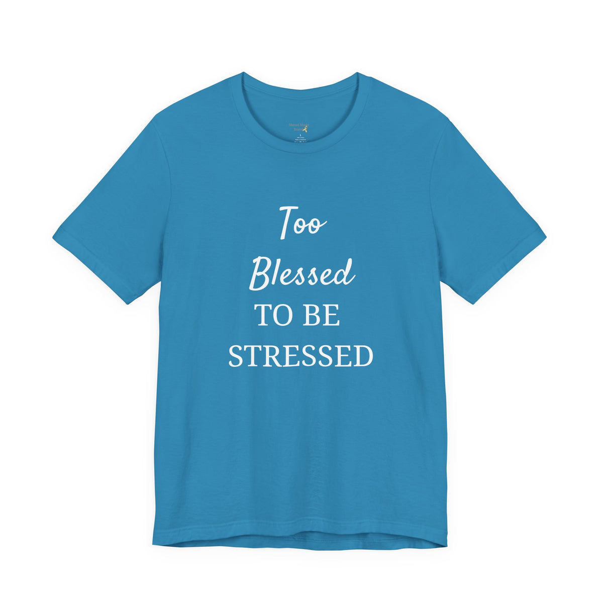 Too Blessed to Be Stressed T-Shirt