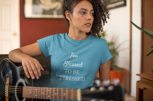 Too Blessed to Be Stressed T-Shirt